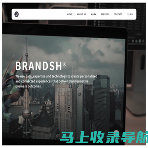 班田互动创意 数字营销 - BRANDSH